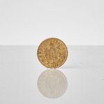 1338 5636 GOLD COIN